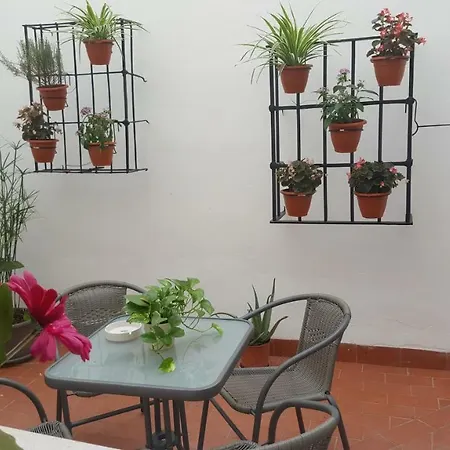 Entre Patios Valladares 아파트 코르도바